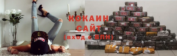 шишки Белокуриха