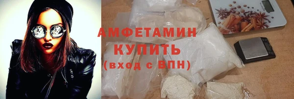шишки Белокуриха
