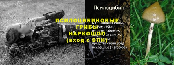 прущий лед Белоозёрский