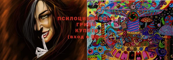 шишки Белокуриха