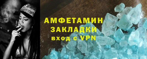 шишки Белокуриха