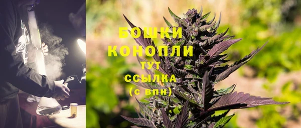 шишки Белокуриха
