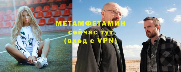 шишки Белокуриха