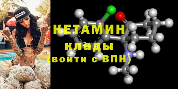 шишки Белокуриха
