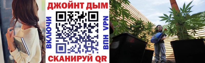 kraken сайт  Кольчугино  Каннабис Amnesia 
